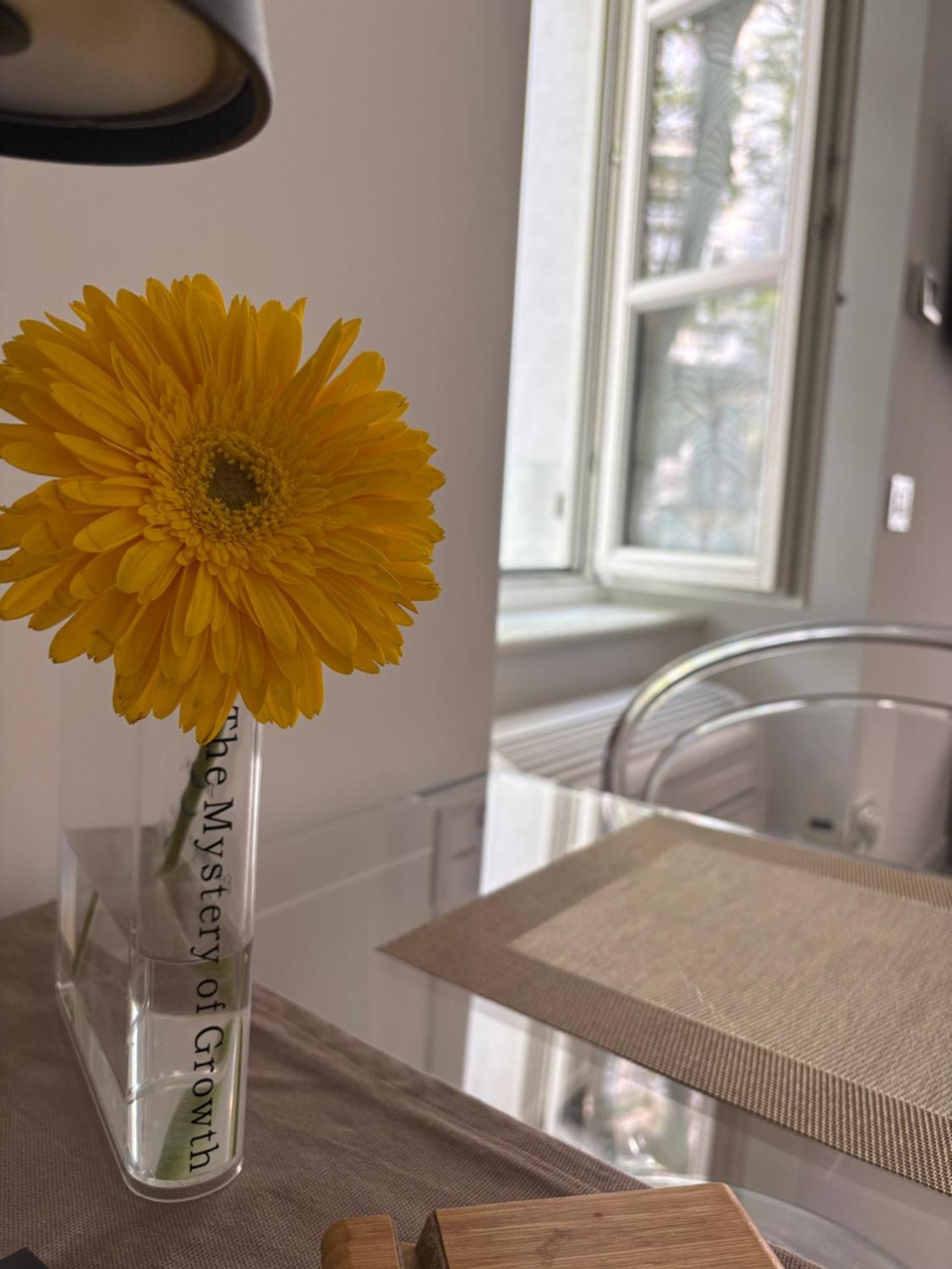 Apartment Angolo Di Zoe Trieste